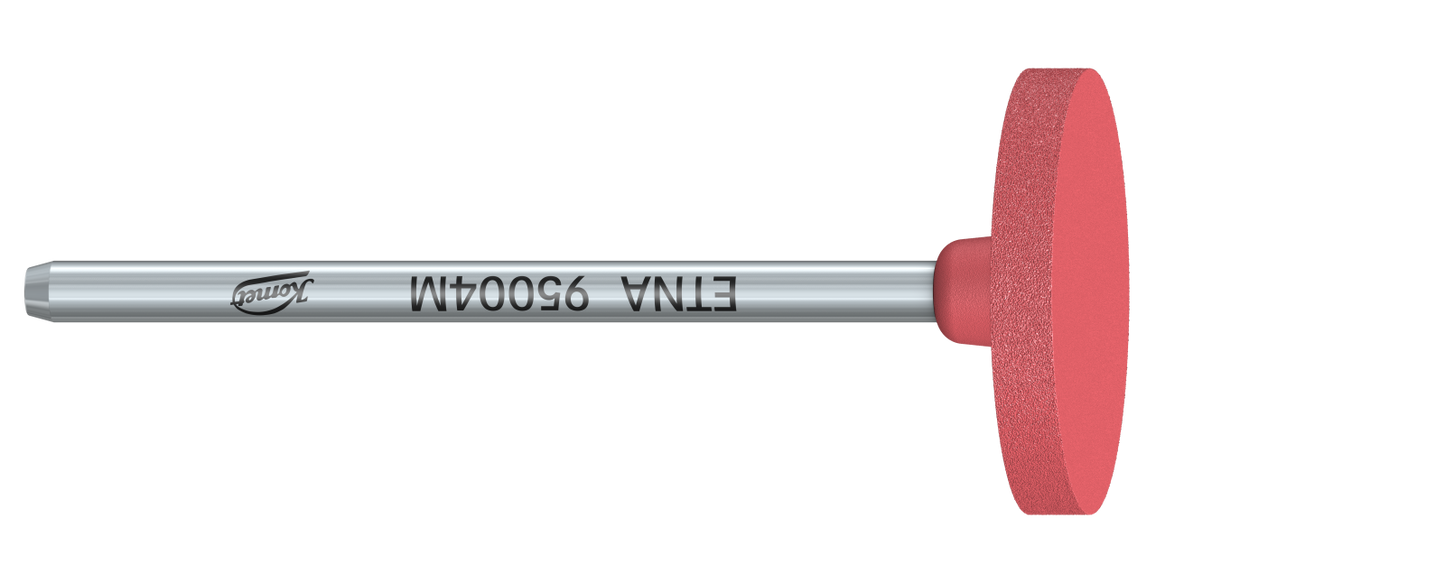 95004M - Zirconia Polishing Instruments