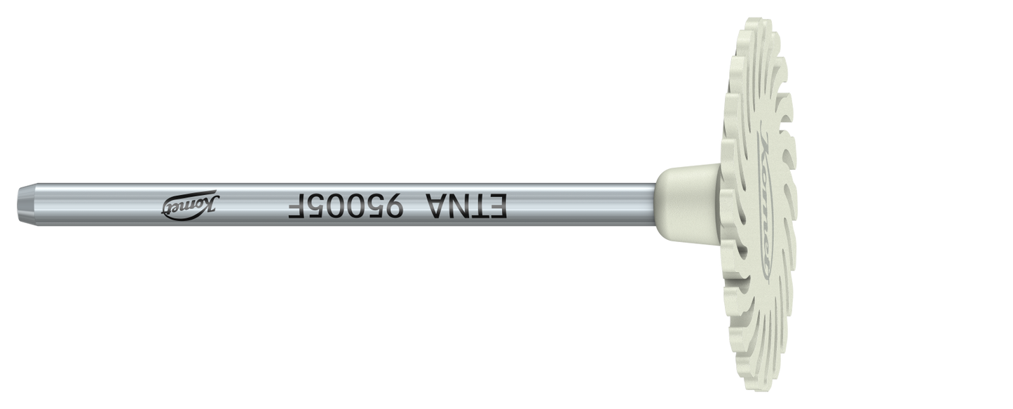 95005F - Zirconia Polishing Instruments