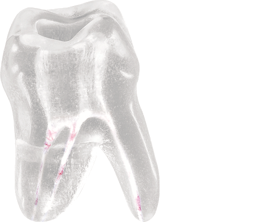 Komet Product TOOTH1.000.K0 from the category Endodontics