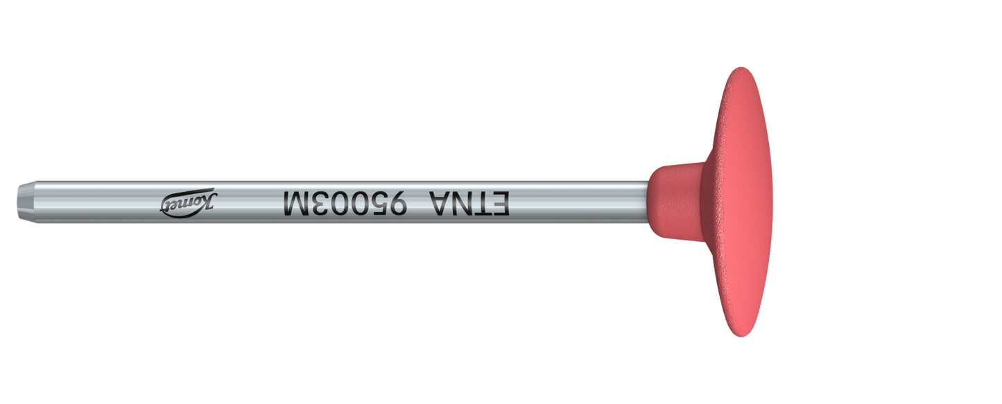 ETNA abrasives and zirconia polishers for trimming and finishing